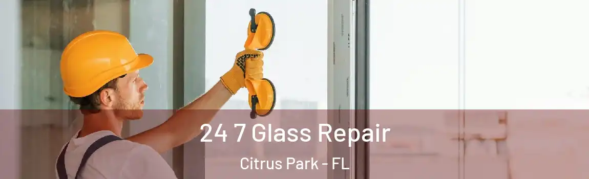  24 7 Glass Repair Citrus Park - FL