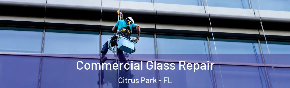  Commercial Glass Repair Citrus Park - FL