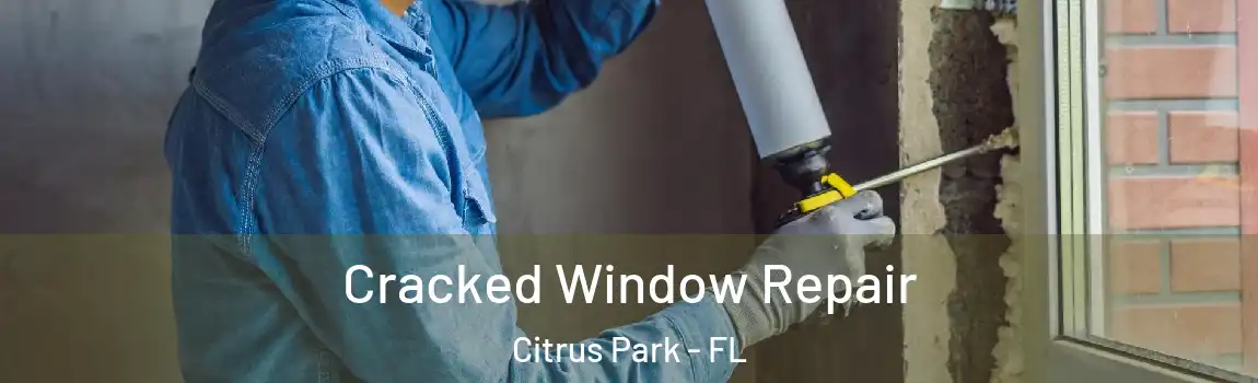  Cracked Window Repair Citrus Park - FL