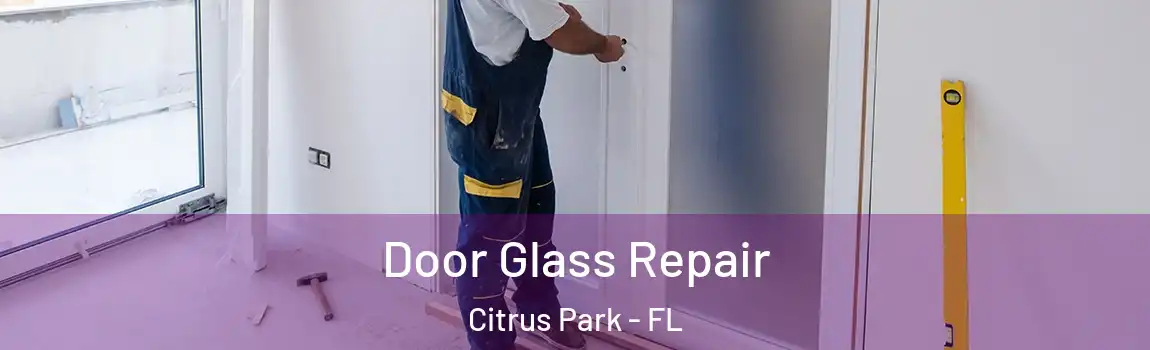  Door Glass Repair Citrus Park - FL