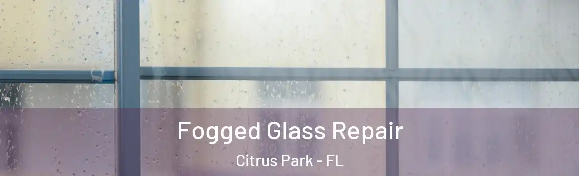  Fogged Glass Repair Citrus Park - FL
