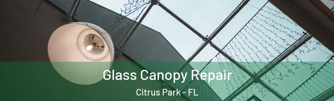  Glass Canopy Repair Citrus Park - FL