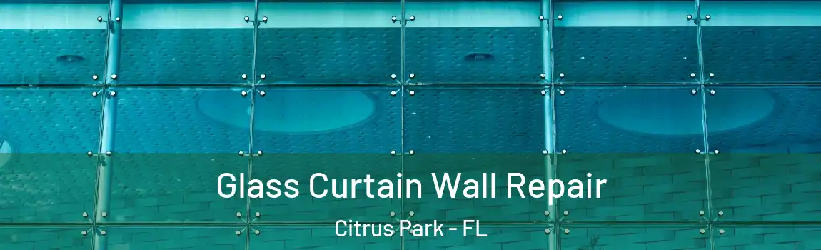  Glass Curtain Wall Repair Citrus Park - FL