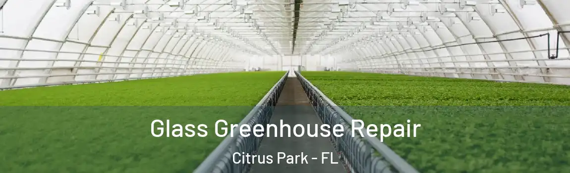  Glass Greenhouse Repair Citrus Park - FL