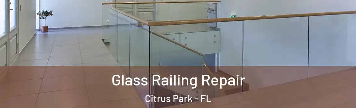  Glass Railing Repair Citrus Park - FL