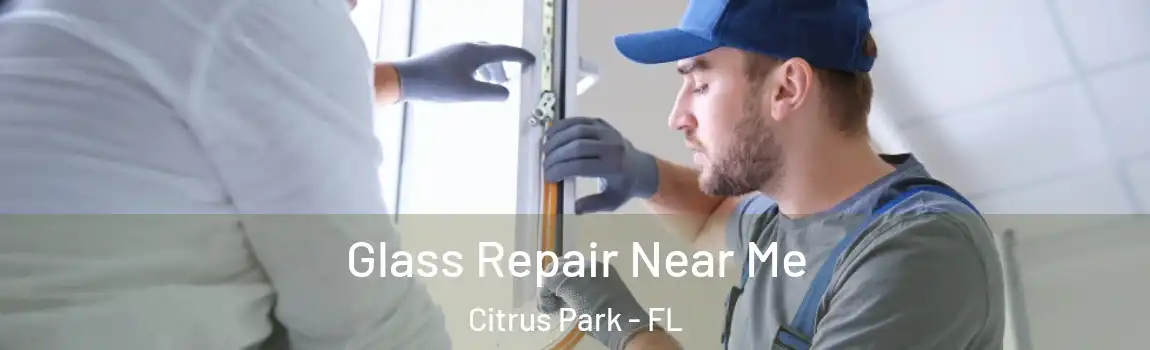  Glass Repair Near Me Citrus Park - FL