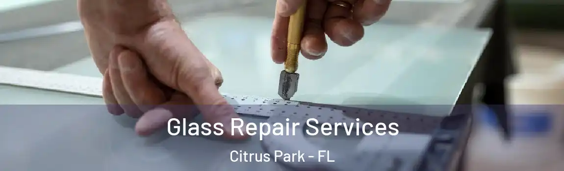 Glass Repair Services Citrus Park - FL
