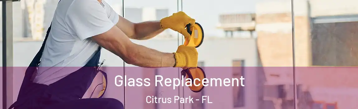  Glass Replacement Citrus Park - FL