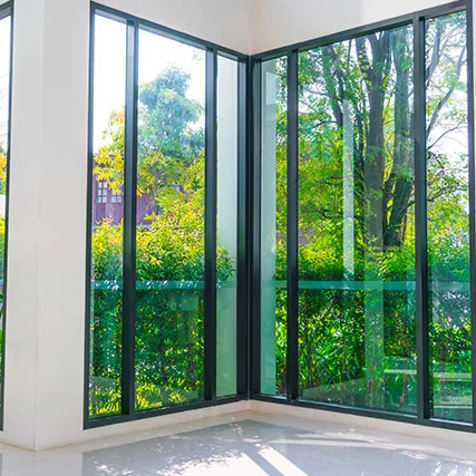 double pane glass in Citrus Park, FL