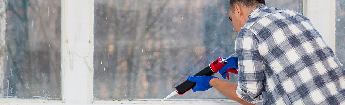 Foggy Window Repair Services in Citrus Park, FL