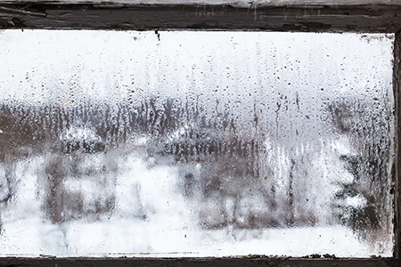 Defogging Double Pane Windows in Citrus Park, FL