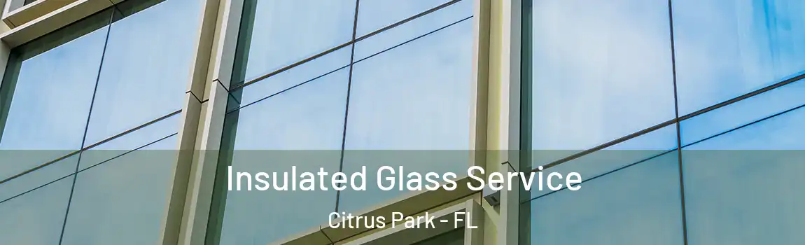  Insulated Glass Service Citrus Park - FL