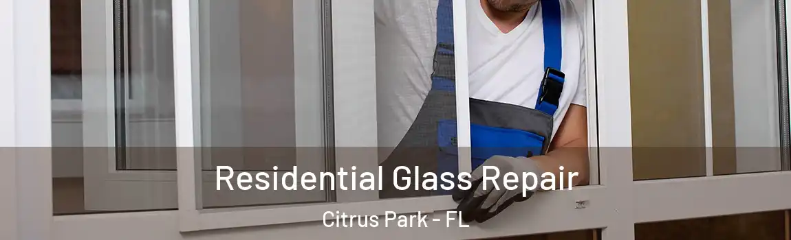  Residential Glass Repair Citrus Park - FL