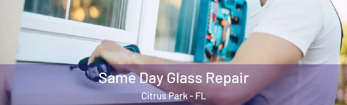  Same Day Glass Repair Citrus Park - FL