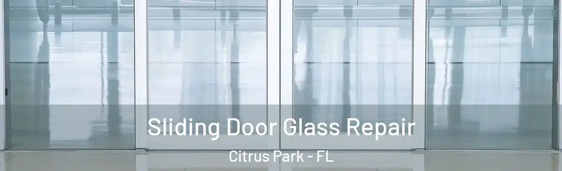  Sliding Door Glass Repair Citrus Park - FL