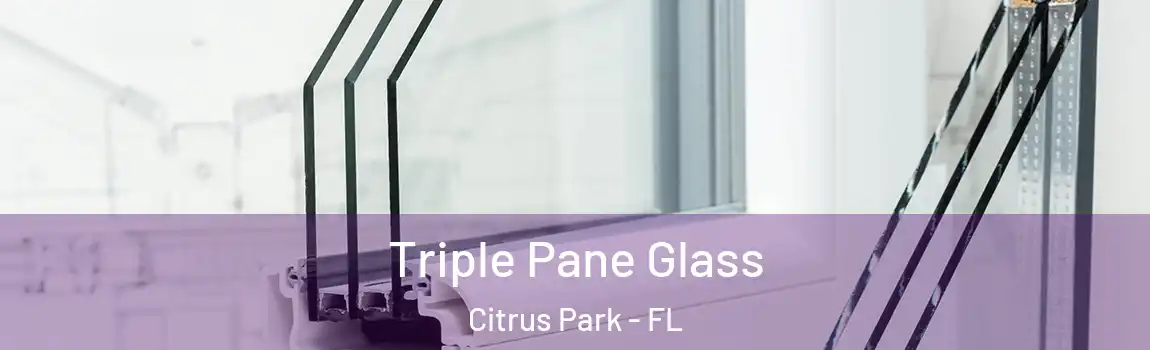  Triple Pane Glass Citrus Park - FL