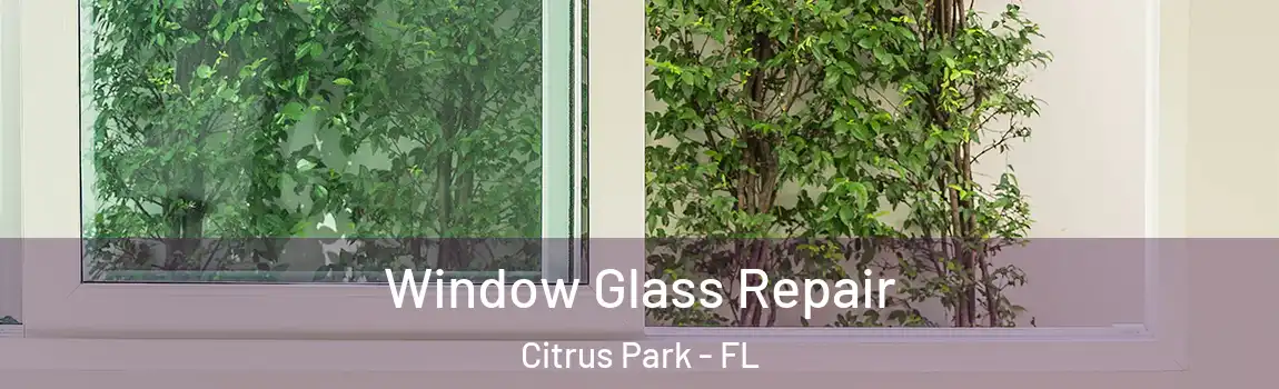  Window Glass Repair Citrus Park - FL
