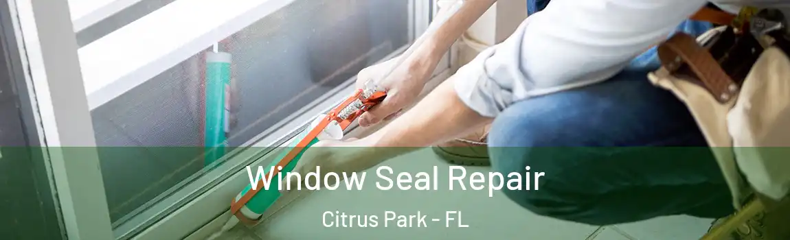  Window Seal Repair Citrus Park - FL